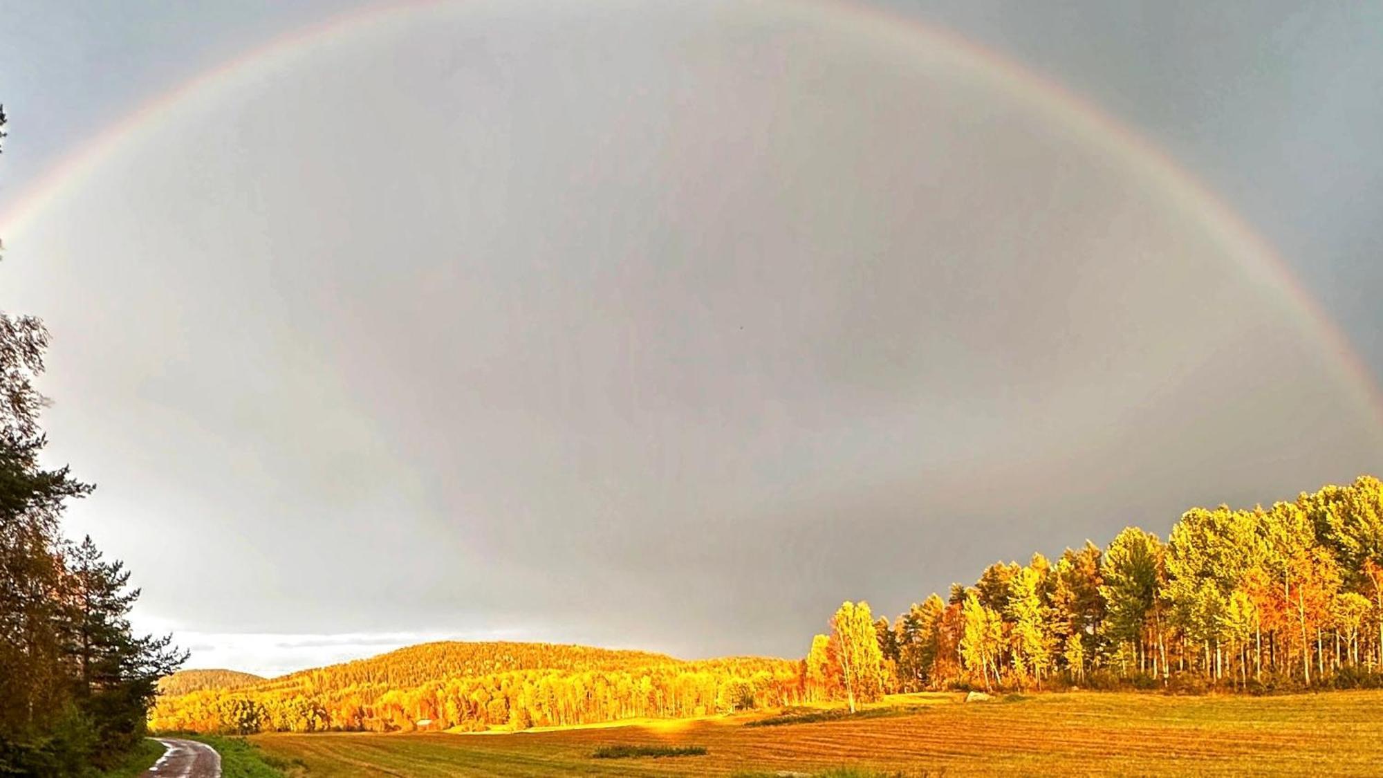 Hotel Kullerbacka Gaesthus Segersta Exteriér fotografie