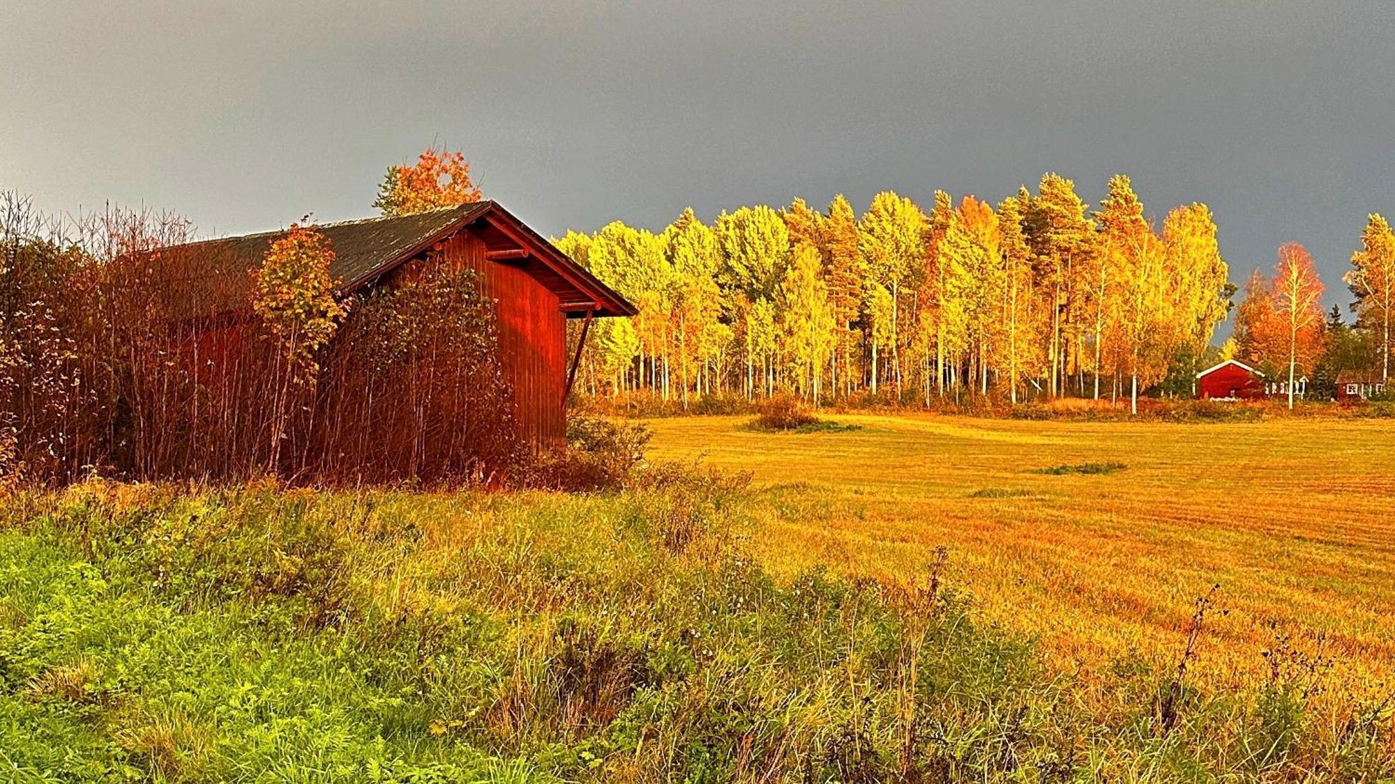 Hotel Kullerbacka Gaesthus Segersta Exteriér fotografie