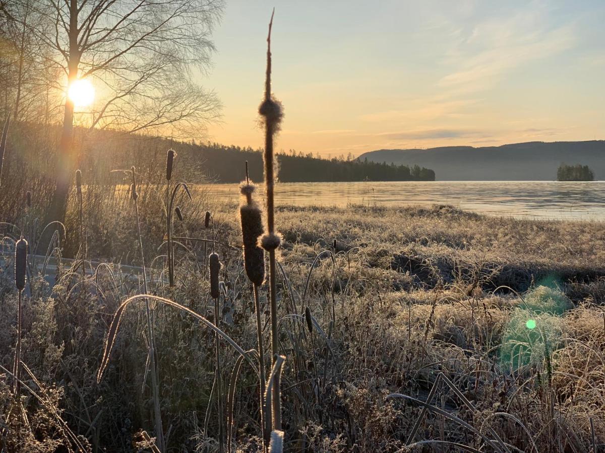 Hotel Kullerbacka Gaesthus Segersta Exteriér fotografie